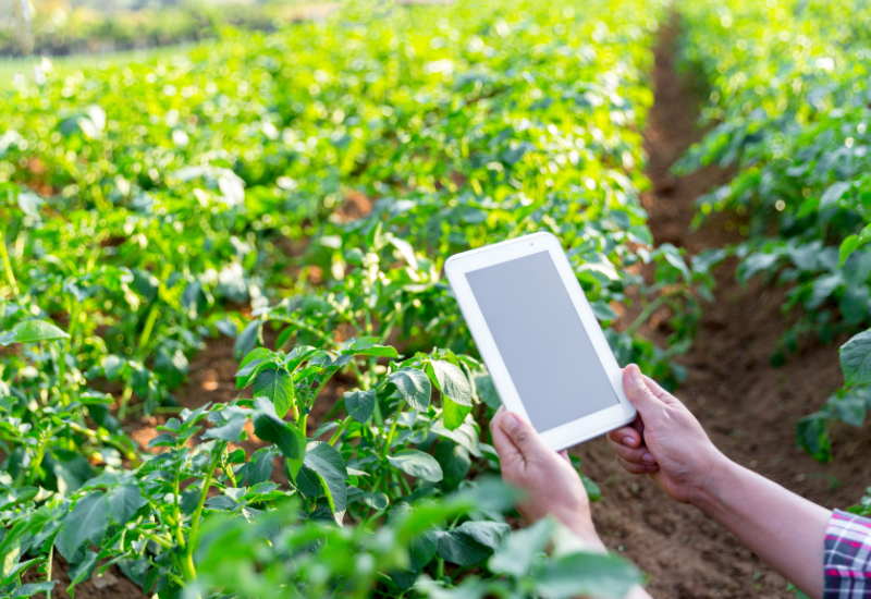 Smart Agriculture and Farming